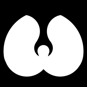 ENKIVERSE